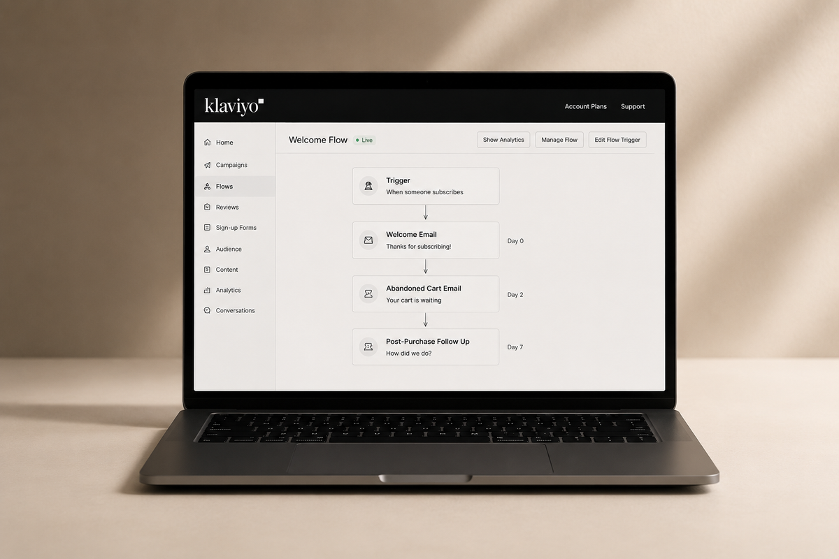 <p>Email Marketing <em>and Klaviyo</em></p>